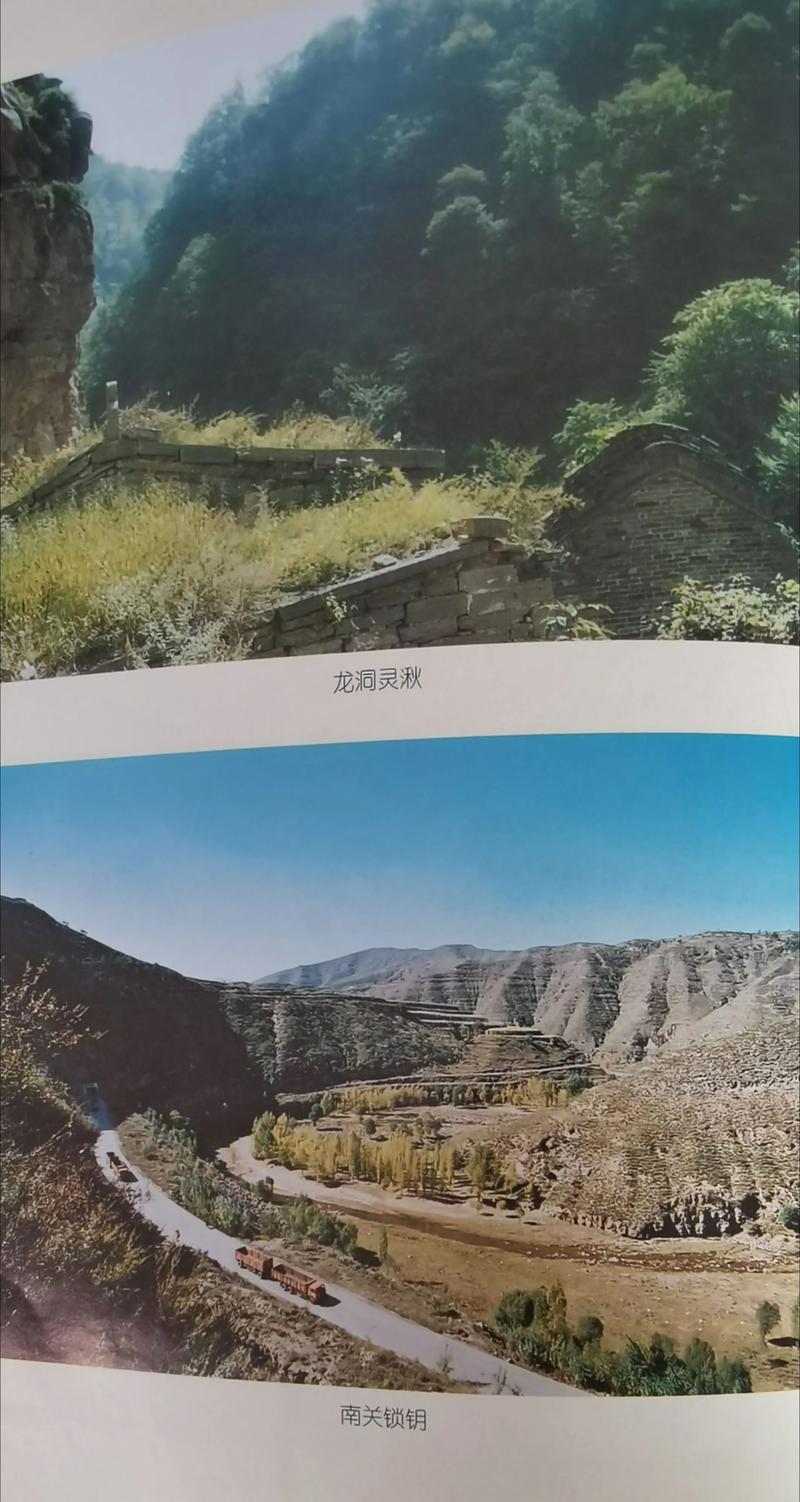 单位后勤管理中的新趋势：提升工作效率与服务水平